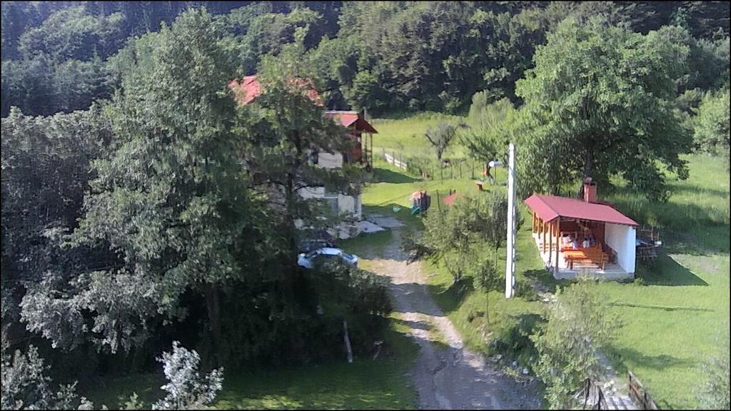 Pension Belmonte Sîmbăta de Sus Extérieur photo